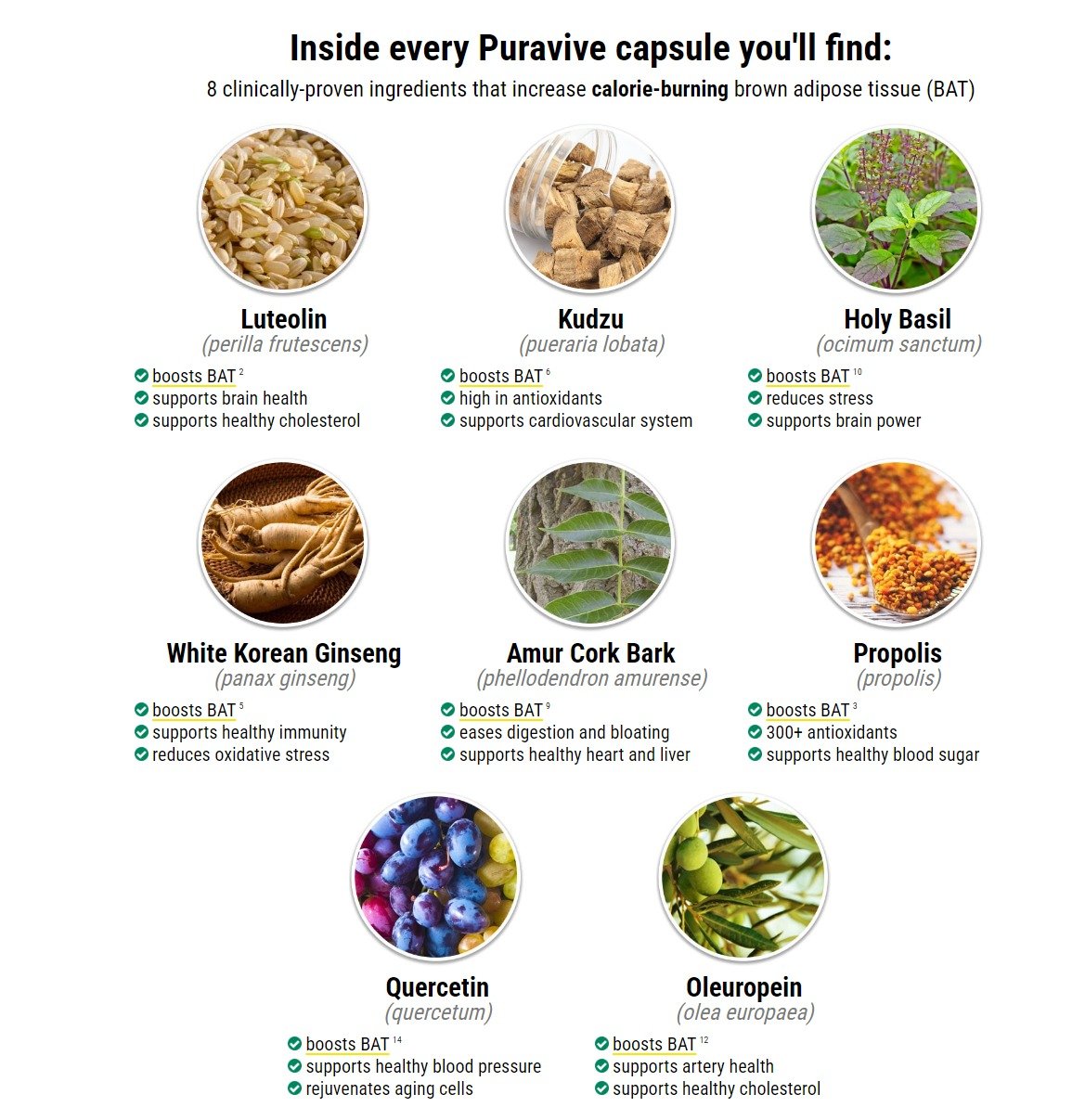 Puravive Ingredients