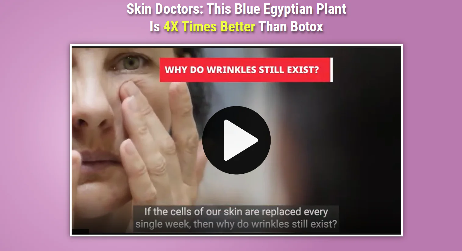 Blue Egyptian Plant for Skin