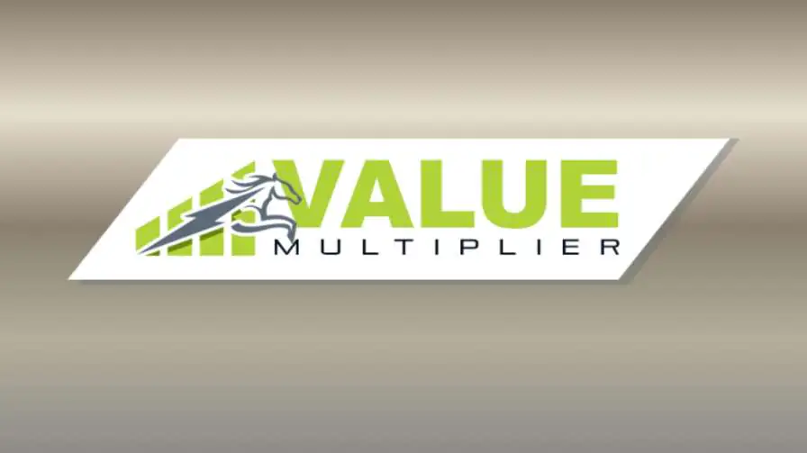 Value Multiplier Review 2025