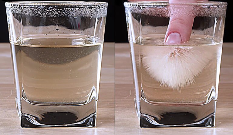 Bizarre Salt Water Trick